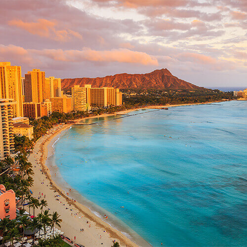 Honolulu Web Developers