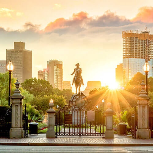 Springfield Web Developers